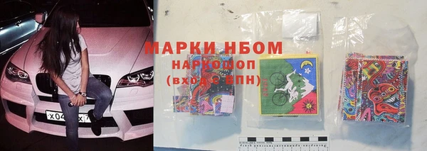 индика Баксан