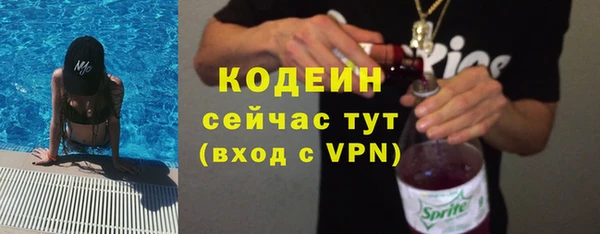 индика Баксан