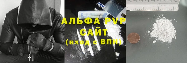 индика Баксан