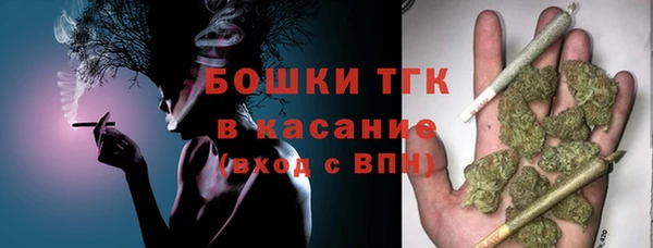 индика Баксан