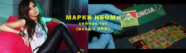индика Баксан