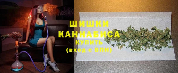 индика Баксан